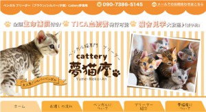 【ホームページ制作（スマホ対応）】Cattery夢猫庵 様